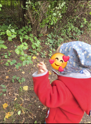 Eichhörnchen auf den Winter vorbereiten